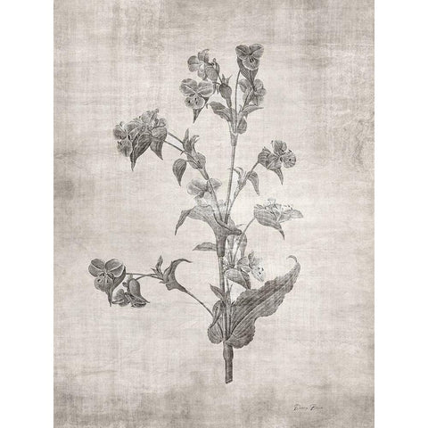 Sepia Botanical 4 White Modern Wood Framed Art Print by Brown, Denise