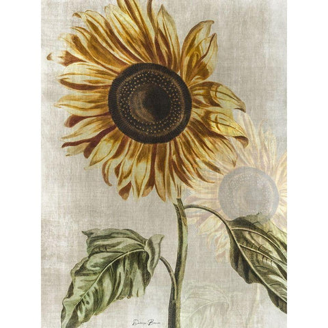 Sunflower 1 Gold Ornate Wood Framed Art Print with Double Matting by Brown, Denise