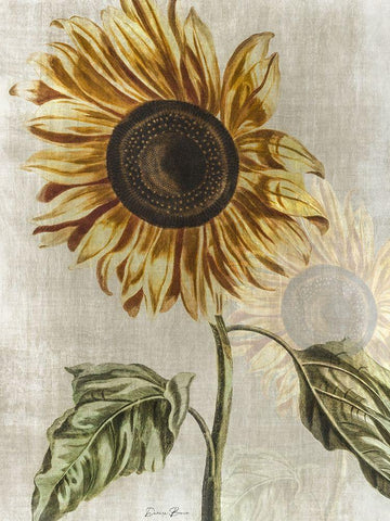 Sunflower 1 Black Ornate Wood Framed Art Print with Double Matting by Brown, Denise