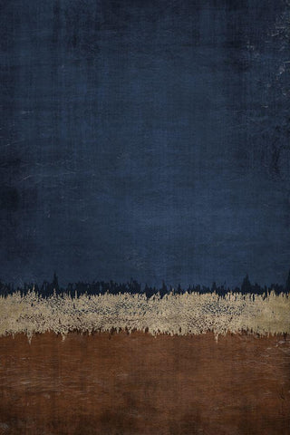 Land and Sky 2 Black Ornate Wood Framed Art Print with Double Matting by Brown, Denise