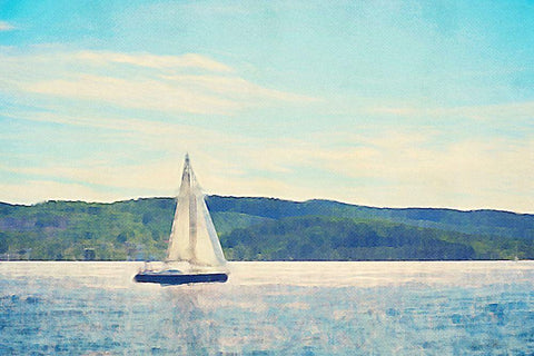 Sailing Black Ornate Wood Framed Art Print with Double Matting by Brown, Denise