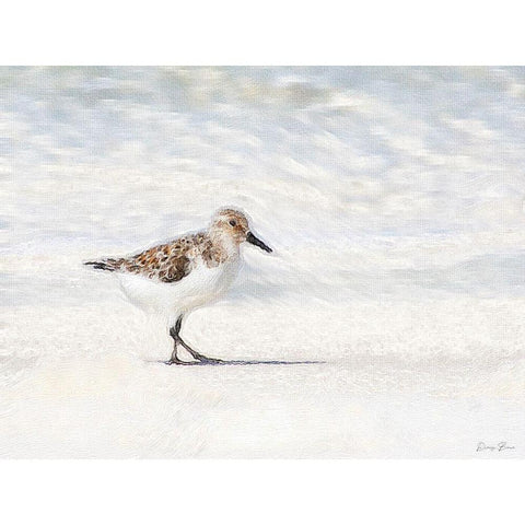 Sandpiper Black Modern Wood Framed Art Print with Double Matting by Brown, Denise