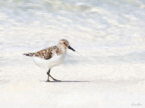 Sandpiper Black Ornate Wood Framed Art Print with Double Matting by Brown, Denise