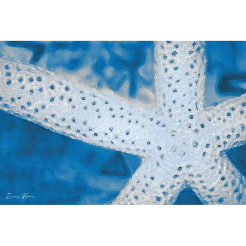 Star Fish White Modern Wood Framed Art Print by Brown, Denise