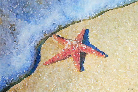 Washed on Shore White Modern Wood Framed Art Print with Double Matting by Brown, Denise