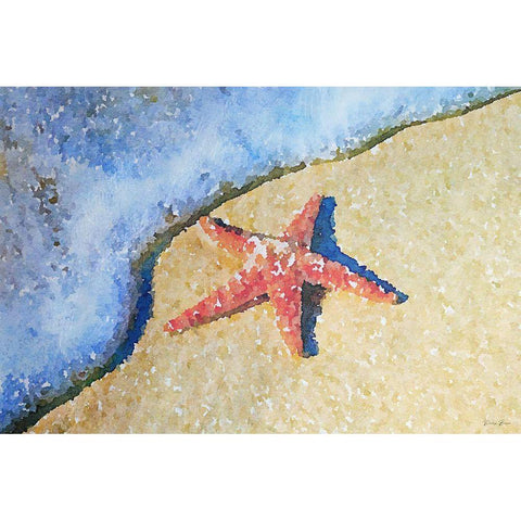 Washed on Shore Black Modern Wood Framed Art Print with Double Matting by Brown, Denise