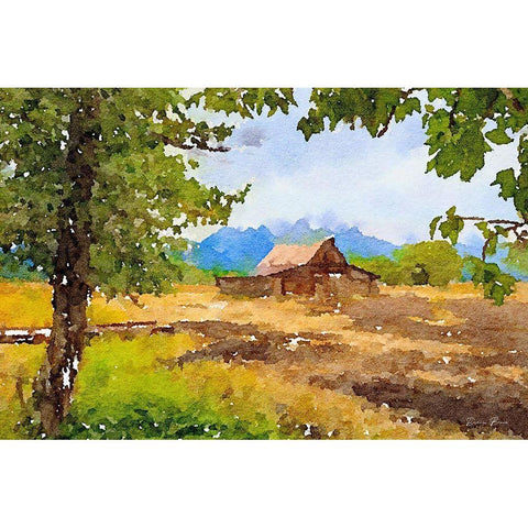 Barn White Modern Wood Framed Art Print by Brown, Denise