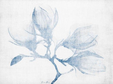 Floral Study White Modern Wood Framed Art Print with Double Matting by Brown, Denise