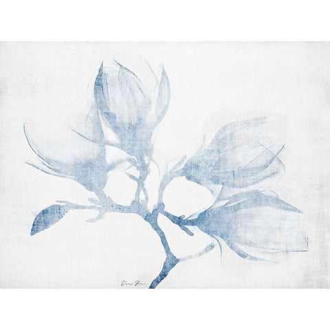 Floral Study Black Modern Wood Framed Art Print by Brown, Denise