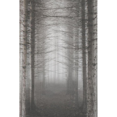 Forest for the Trees White Modern Wood Framed Art Print by Brown, Denise