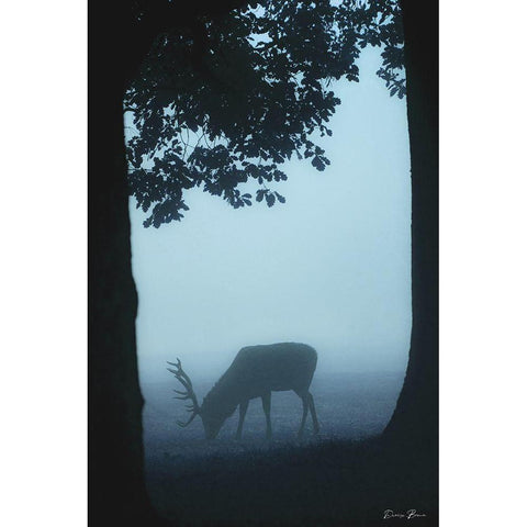 Grazing Black Modern Wood Framed Art Print with Double Matting by Brown, Denise