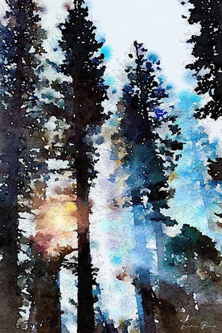 Light Through the Trees Black Ornate Wood Framed Art Print with Double Matting by Brown, Denise