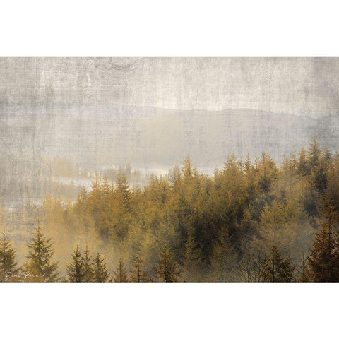 Pine Tops Gold Ornate Wood Framed Art Print with Double Matting by Brown, Denise