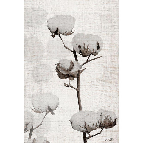 Cotton Stem 1 White Modern Wood Framed Art Print by Brown, Denise