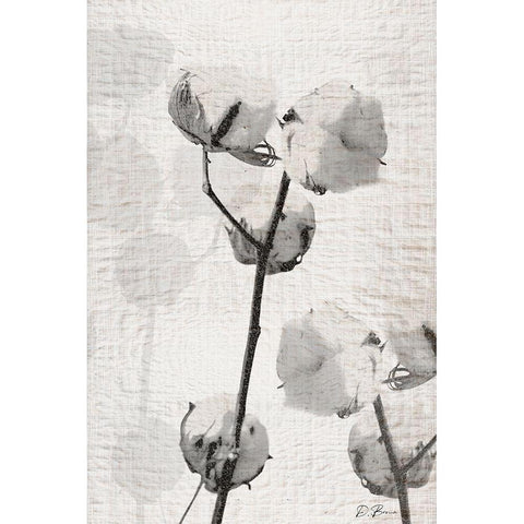 Cotton Stem 2 White Modern Wood Framed Art Print by Brown, Denise