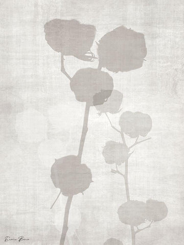 Modern Cotton 2 White Modern Wood Framed Art Print with Double Matting by Brown, Denise
