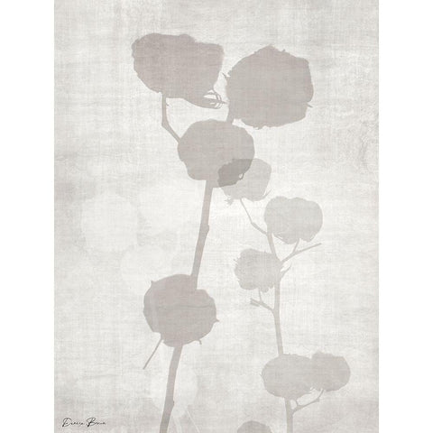 Modern Cotton 2 Black Modern Wood Framed Art Print by Brown, Denise