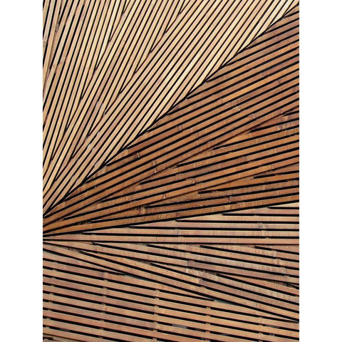 Geometric Wood Panel 1 Black Modern Wood Framed Art Print with Double Matting by Brown, Denise