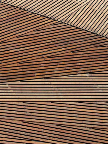 Geometric Wood Panel 2 Black Ornate Wood Framed Art Print with Double Matting by Brown, Denise