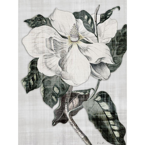 Southern Magnolia 1 White Modern Wood Framed Art Print by Brown, Denise