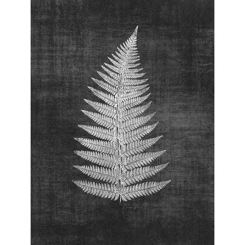 Astor Fern 1 White Modern Wood Framed Art Print by Brown, Denise