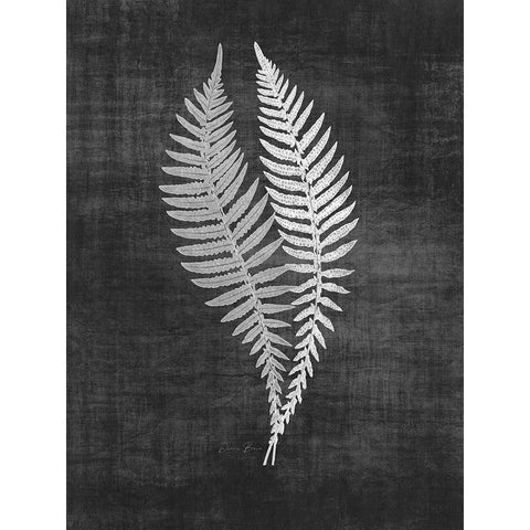 Astor Fern 2 White Modern Wood Framed Art Print by Brown, Denise