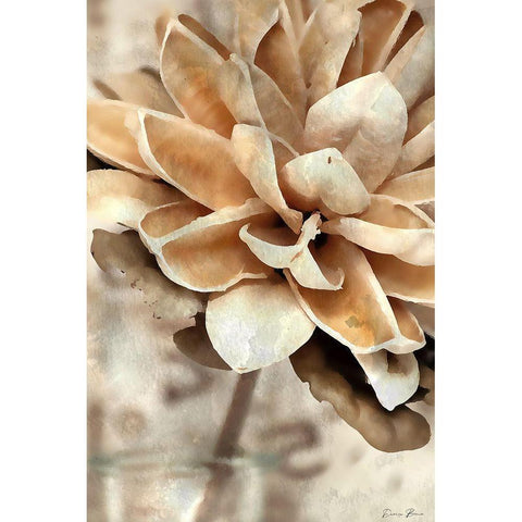 Magnolia 1 White Modern Wood Framed Art Print by Brown, Denise
