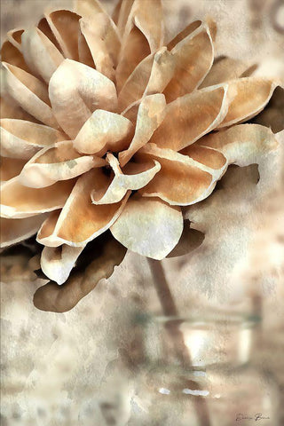 Magnolia 2 White Modern Wood Framed Art Print with Double Matting by Brown, Denise