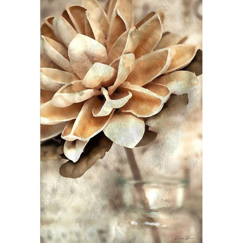Magnolia 2 Black Modern Wood Framed Art Print with Double Matting by Brown, Denise