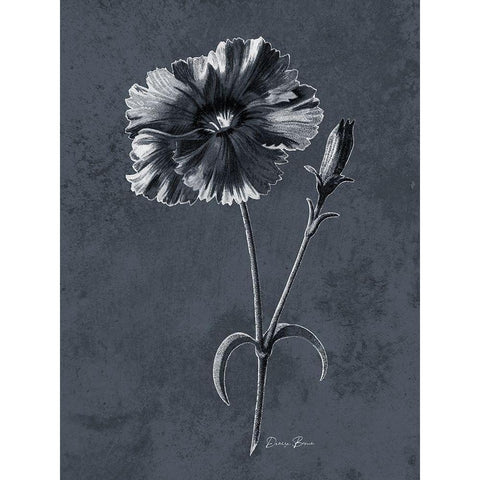 Tranquil Botanical 3 Black Modern Wood Framed Art Print with Double Matting by Brown, Denise