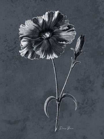 Tranquil Botanical 3 Black Ornate Wood Framed Art Print with Double Matting by Brown, Denise