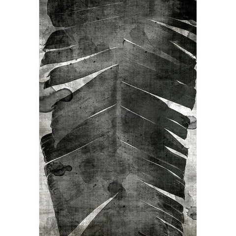 Palm Expression 1 V2 Black Modern Wood Framed Art Print with Double Matting by Brown, Denise