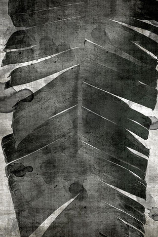 Palm Expression 1 V2 Black Ornate Wood Framed Art Print with Double Matting by Brown, Denise