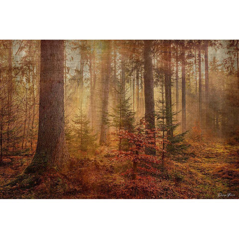 From the Heavens White Modern Wood Framed Art Print by Brown, Denise