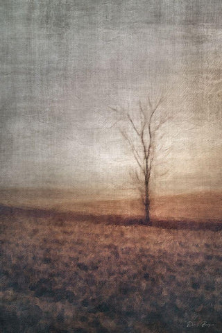 Lone Tree Black Ornate Wood Framed Art Print with Double Matting by Brown, Denise