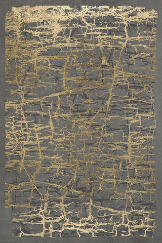 Gray Black Cracks 1 Black Ornate Wood Framed Art Print with Double Matting by Brown, Denise
