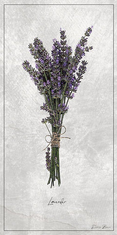 Lavender 1 White Modern Wood Framed Art Print with Double Matting by Brown, Denise