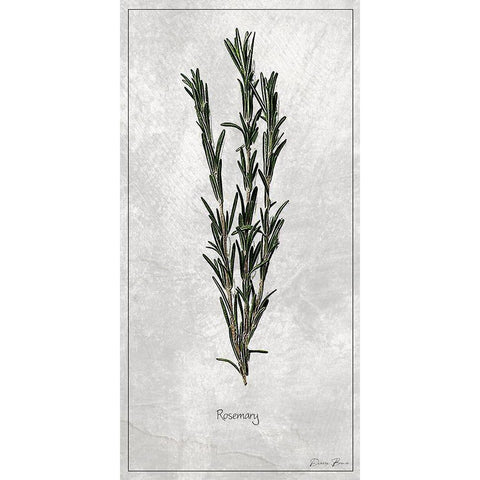 Rosemary 1 White Modern Wood Framed Art Print by Brown, Denise