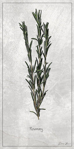 Rosemary 1 White Modern Wood Framed Art Print with Double Matting by Brown, Denise