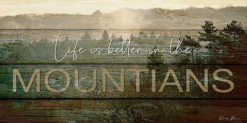 Life is Better in the Mountains White Modern Wood Framed Art Print with Double Matting by Brown, Denise