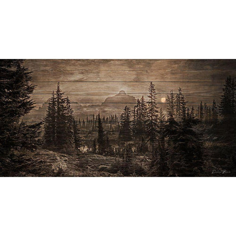 Lodge View Black Modern Wood Framed Art Print by Brown, Denise