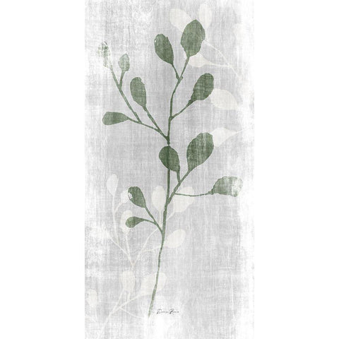 Stem in Nature 2 Black Modern Wood Framed Art Print by Brown, Denise