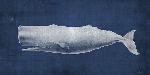 Whale 1 V2 Black Ornate Wood Framed Art Print with Double Matting by Brown, Denise