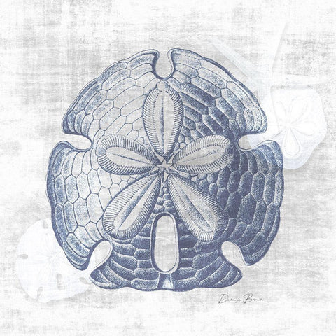 Sand Dollar 1 v2 White Modern Wood Framed Art Print by Brown, Denise