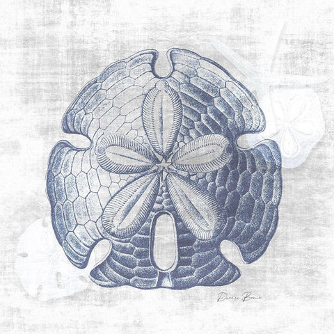 Sand Dollar 1 v2 Black Ornate Wood Framed Art Print with Double Matting by Brown, Denise