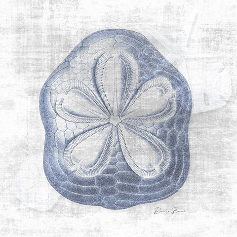 Sand Dollar 2 v2 White Modern Wood Framed Art Print with Double Matting by Brown, Denise