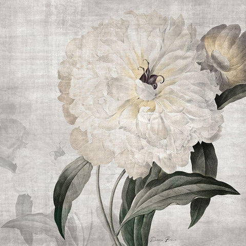 Traditional Peony Black Ornate Wood Framed Art Print with Double Matting by Brown, Denise