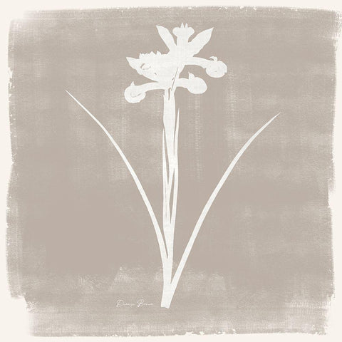 Sophisticated Floral 4 Black Modern Wood Framed Art Print with Double Matting by Brown, Denise