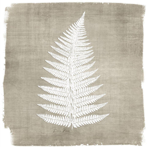 Natures Fern 1 White Modern Wood Framed Art Print with Double Matting by Brown, Denise