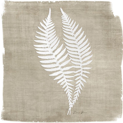 Natures Fern 2 Black Ornate Wood Framed Art Print with Double Matting by Brown, Denise